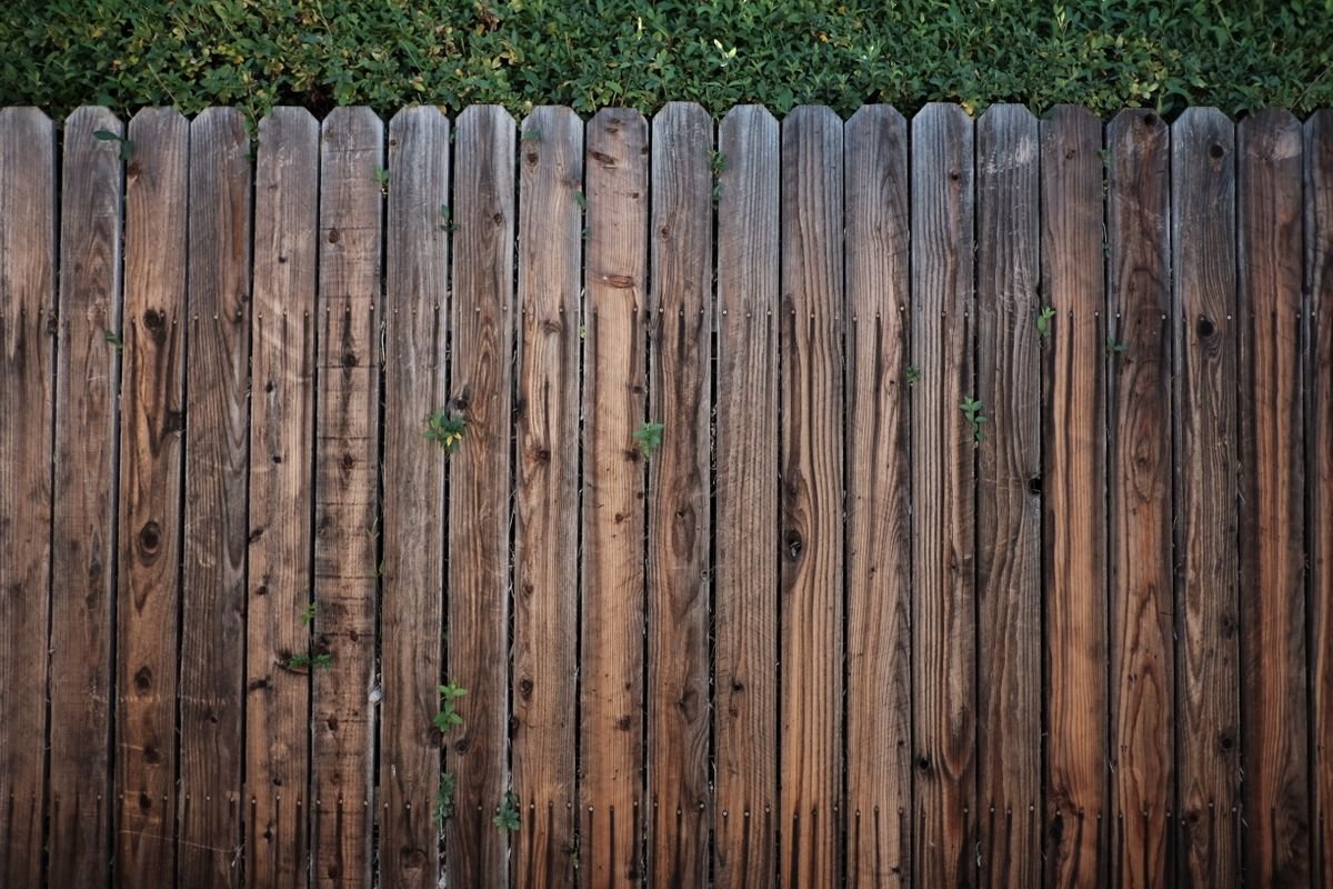 Garden fence panel, the kind of outdoor work BB Multitrades carries out